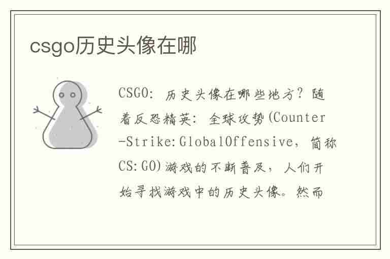 csgo历史头像在哪(csgo 历史)